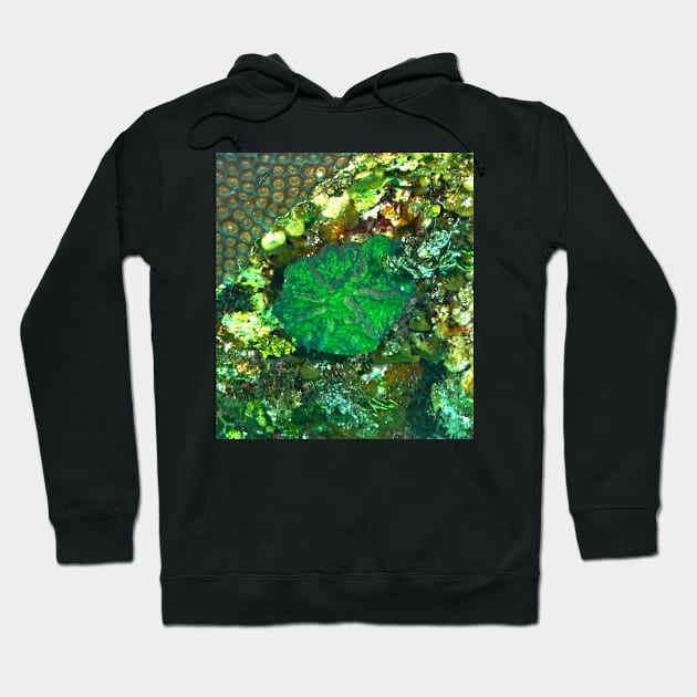 Green Artichoke Coral Anemone Hoodie by Scubagirlamy